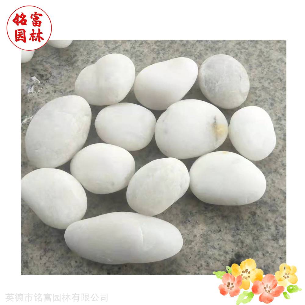 花园路径铺路石-白色鹅卵石-茂名鹅卵石厂家(图2) 花园路径铺路石-白色鹅卵石-茂名鹅卵石厂家(图2)