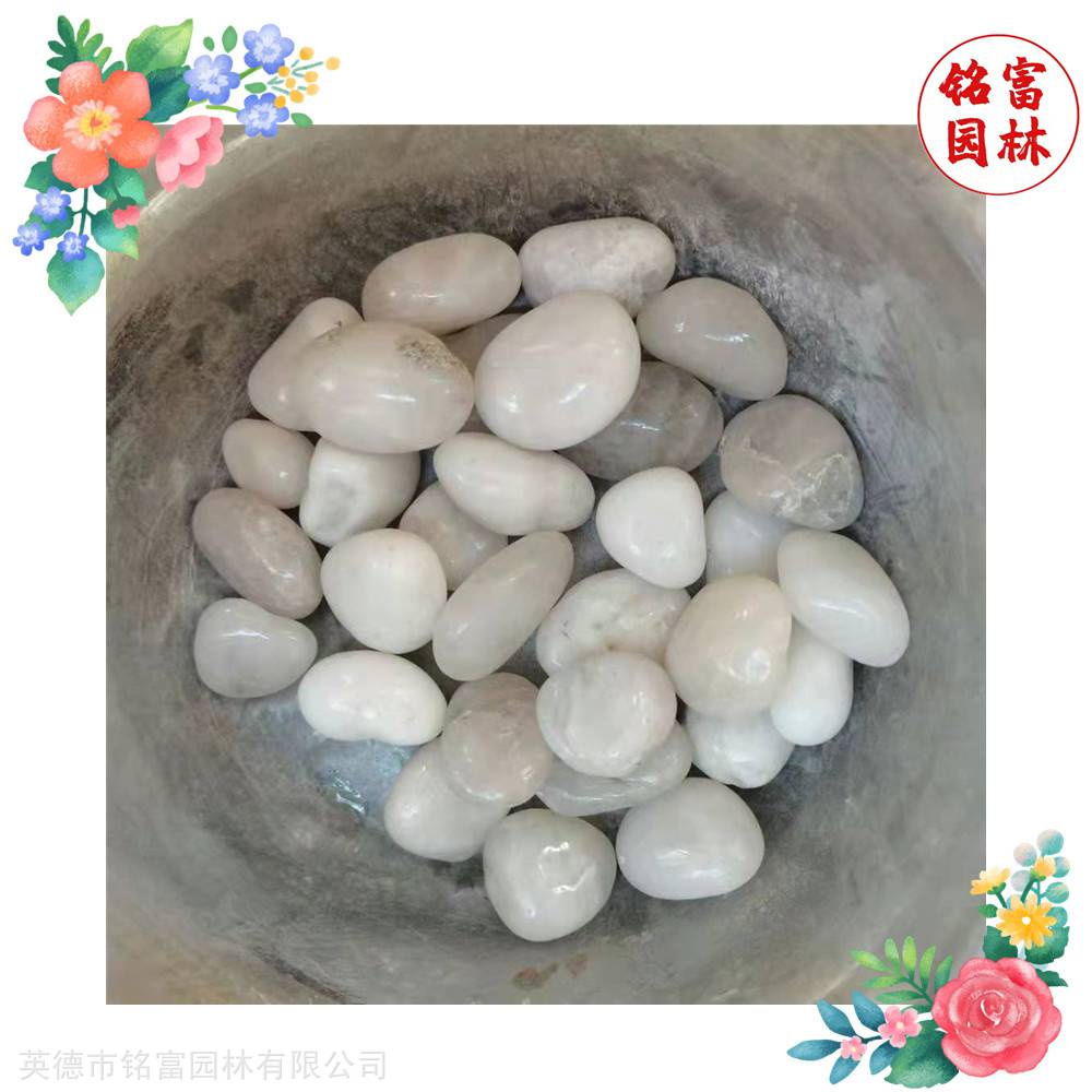 花园路径铺路石-白色鹅卵石-茂名鹅卵石厂家(图5) 花园路径铺路石-白色鹅卵石-茂名鹅卵石厂家(图5)