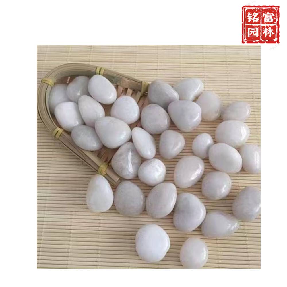 花园路径铺路石-白色鹅卵石-茂名鹅卵石厂家(图11) 花园路径铺路石-白色鹅卵石-茂名鹅卵石厂家(图11)