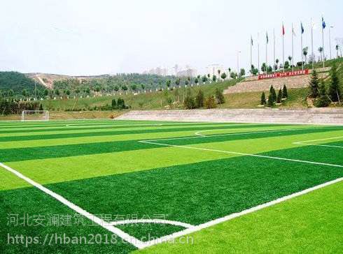 河北安澜承接塑胶跑道 跑道(图6)